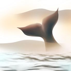 山海经北冥有鱼