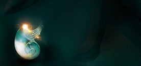 新中式地产音乐活动创意设计