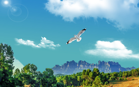 天空