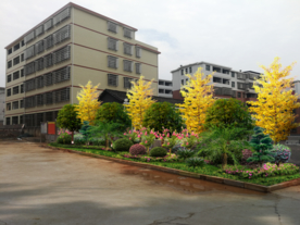 校园绿化景观设计效果图