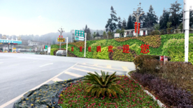 垂直绿化景观设计效果图