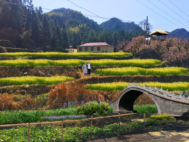 美丽乡村景观设计效果图