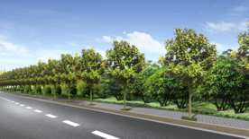 道路景观设计效果图