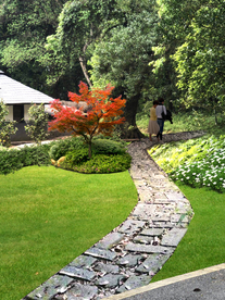 美丽乡村步道景观设计