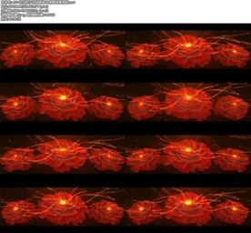 牡丹粒子光线星星大屏幕背景视频