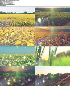 《在希望的田野上》LED背景