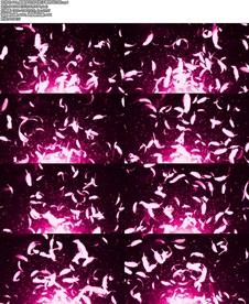 唯美梦幻羽毛粒子爱的华尔兹