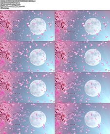 中国风唯美浪漫月下桃花动态背景