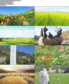 南泥湾舞台背景视频南泥湾led