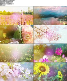 同一首歌配乐成品