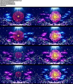 4K唯美牡丹花开粒子蝴蝶背景