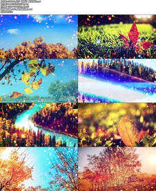 毛宁《晚秋》配乐成品