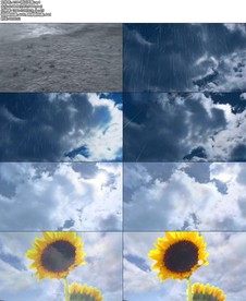 A198-雨过天晴.mp4