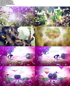 A208-我只在乎你.mp4