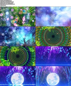 A243-彩云之南.mp4