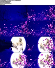 女儿情舞蹈演出led