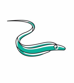 鳗鱼图标