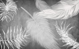 羽毛 欧式背景画 tif分层