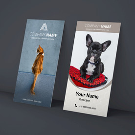 宠物店名片
