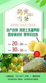 鸭梨 水晶梨 雪梨