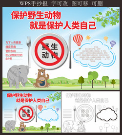 禁止食用野生动物手抄报