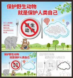 禁止吃野味手抄报