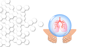 矢量图医疗爱护肺泡泡中的肺