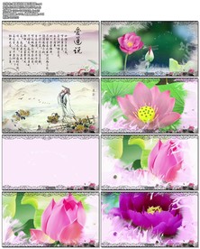 朗诵爱莲说伴奏配乐视频