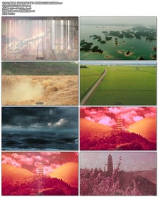 戴望舒《我用残损的手掌》精华版