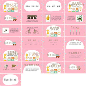 时尚国际化教育公开课PPT