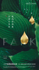 谷雨 地产 微信