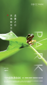 立夏 地产 微信稿