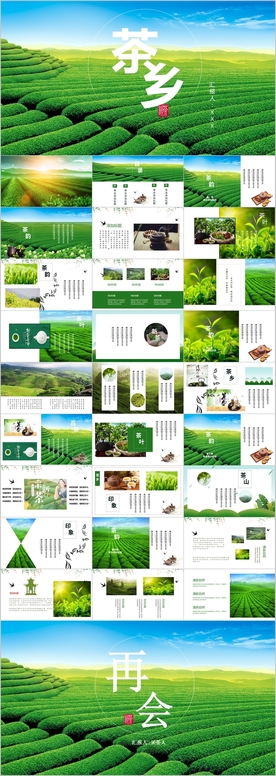 新茶茶叶茶文化茶道茶园PPT