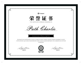 荣誉证书时尚横版证书