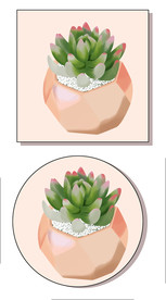 手绘多肉无框画