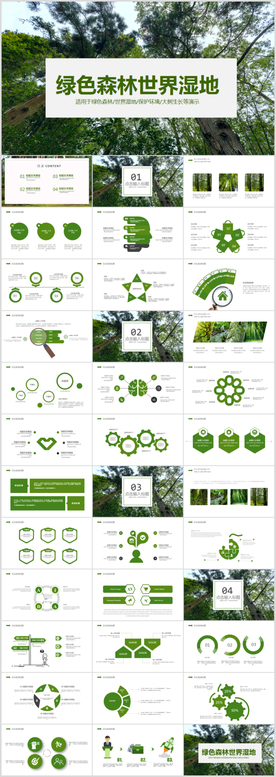 保护森林PPT