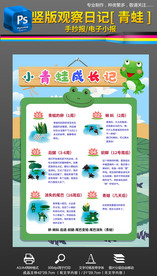 竖版青蛙观察日记科普小报手抄报