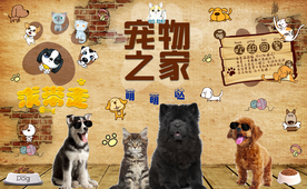 宠物之家