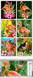 六幅热带雨林花朵火烈鸟素材