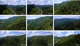 4K热带雨林原始丛林航拍云南