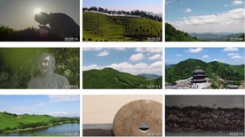 茶叶采茶泡茶西湖龙井茶园绿茶茶