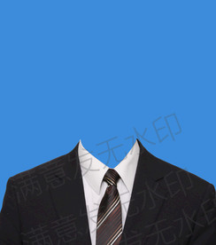 戴领带男士西装模板