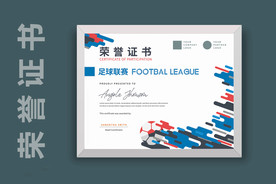 职业体育证书 荣誉证书