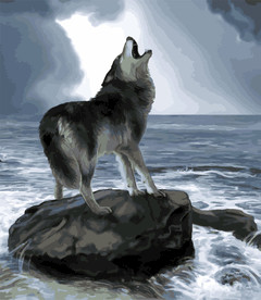 狼壁纸图片大全 狼壁纸设计素材 狼壁纸模板下载 狼壁纸图库 昵图网soso Nipic Com