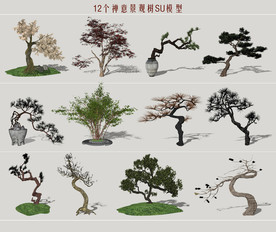 禅意庭院景观树