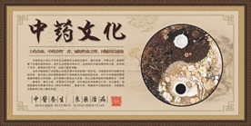 中药文化