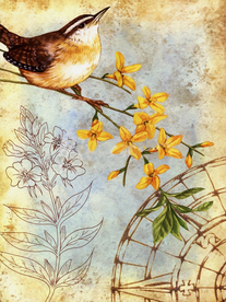 花鸟装饰无框画