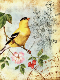 花鸟装饰无框画