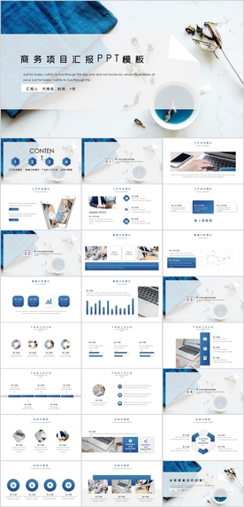 商务项目汇报PPT