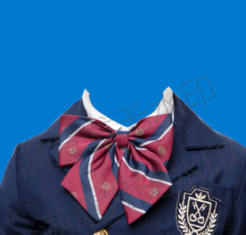 领花正装证件照